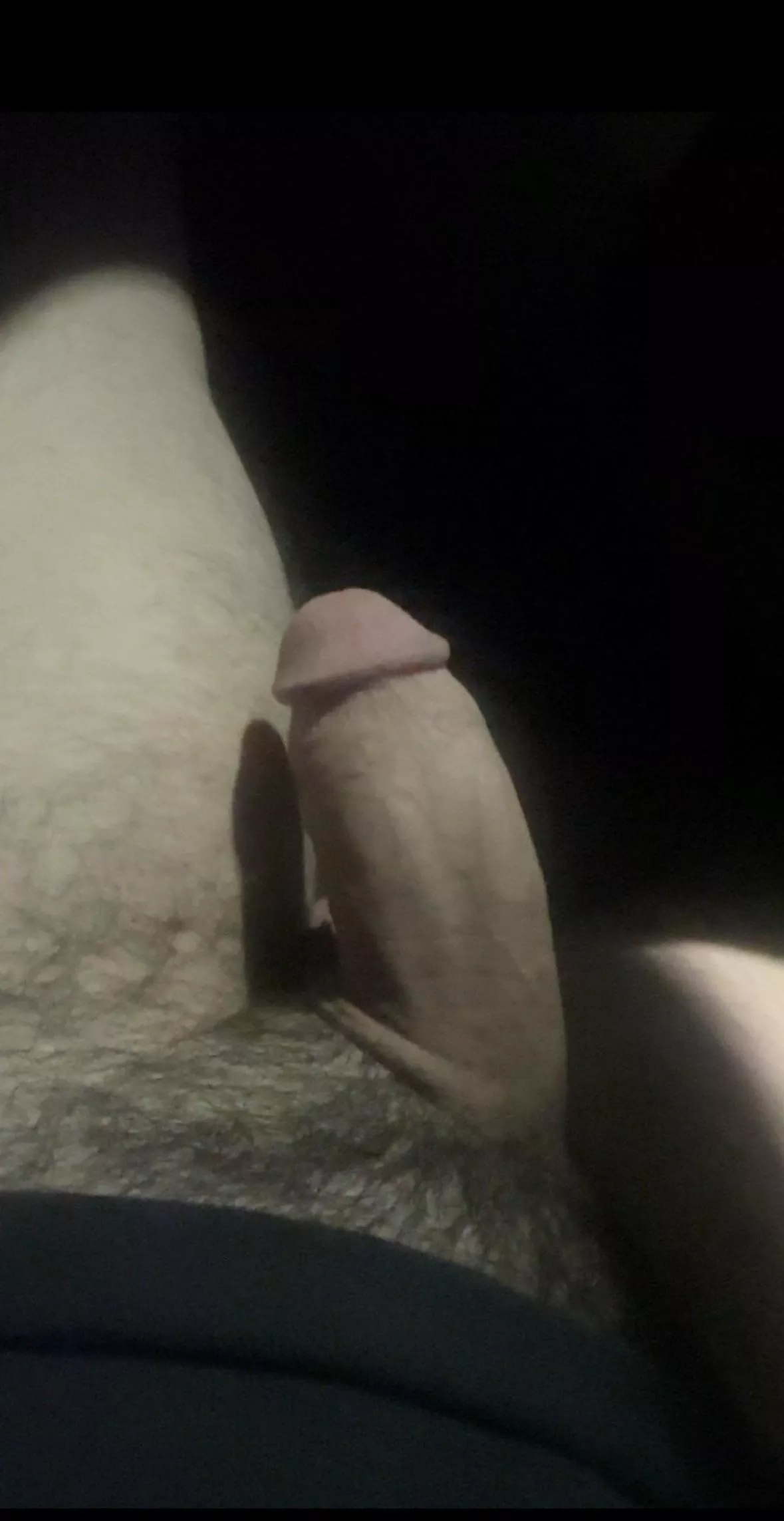 Would you suck my Dick in the car ?