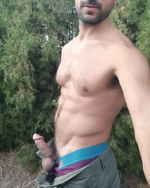 Afternoon in the park