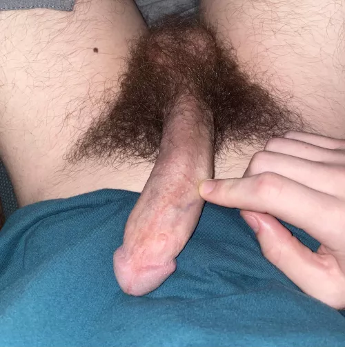 Hairy College dick