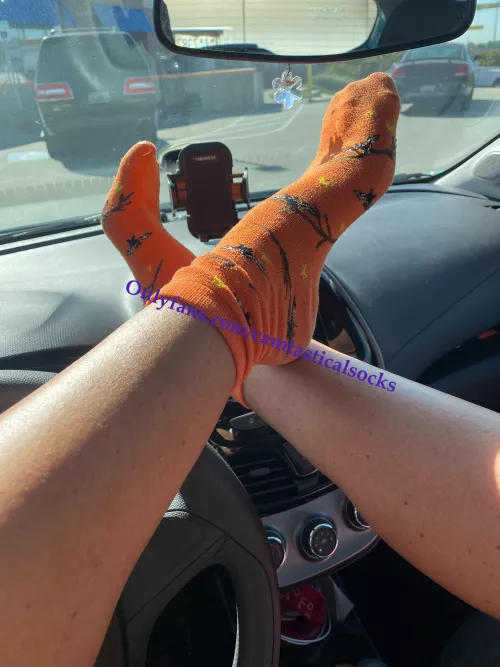 It's Halloween Season!!!