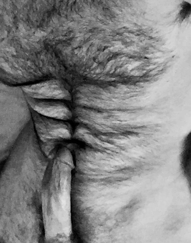 Lapping at the shore