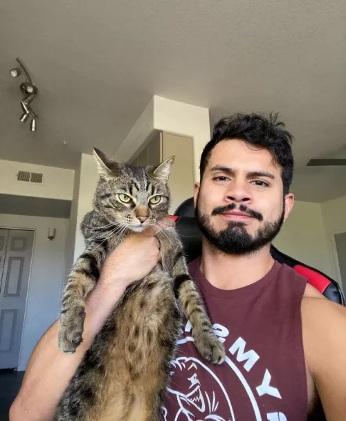 Look at this beauty 🐱