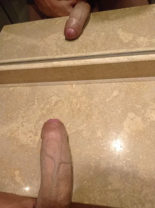 would you suck my veiny cock?
