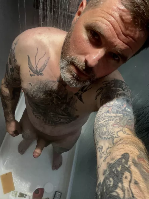 You like a silver beard