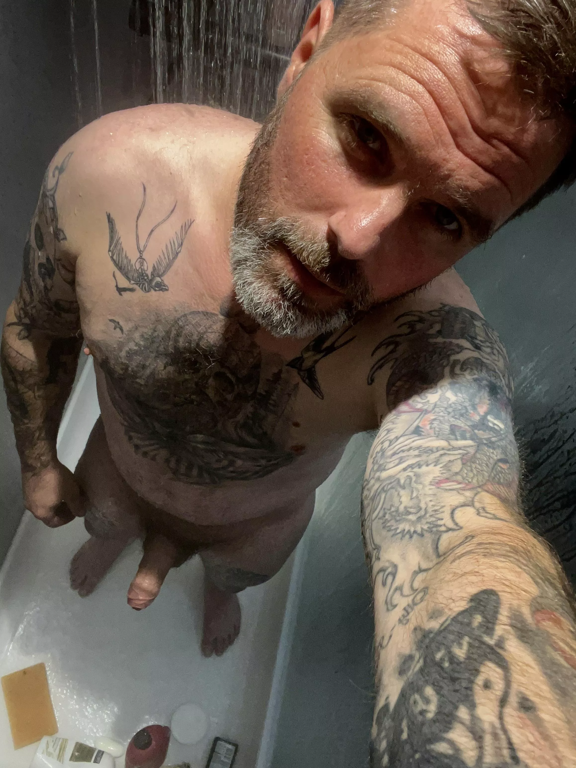 You like a silver beard