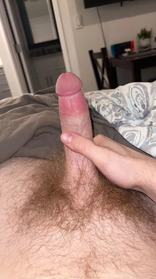 18 usa hmu with dick or ass pic and asl snap: vs.guy