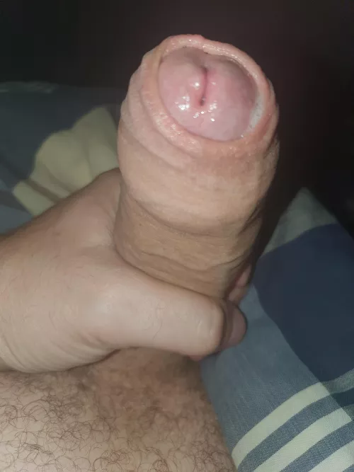 Early morning wake up call