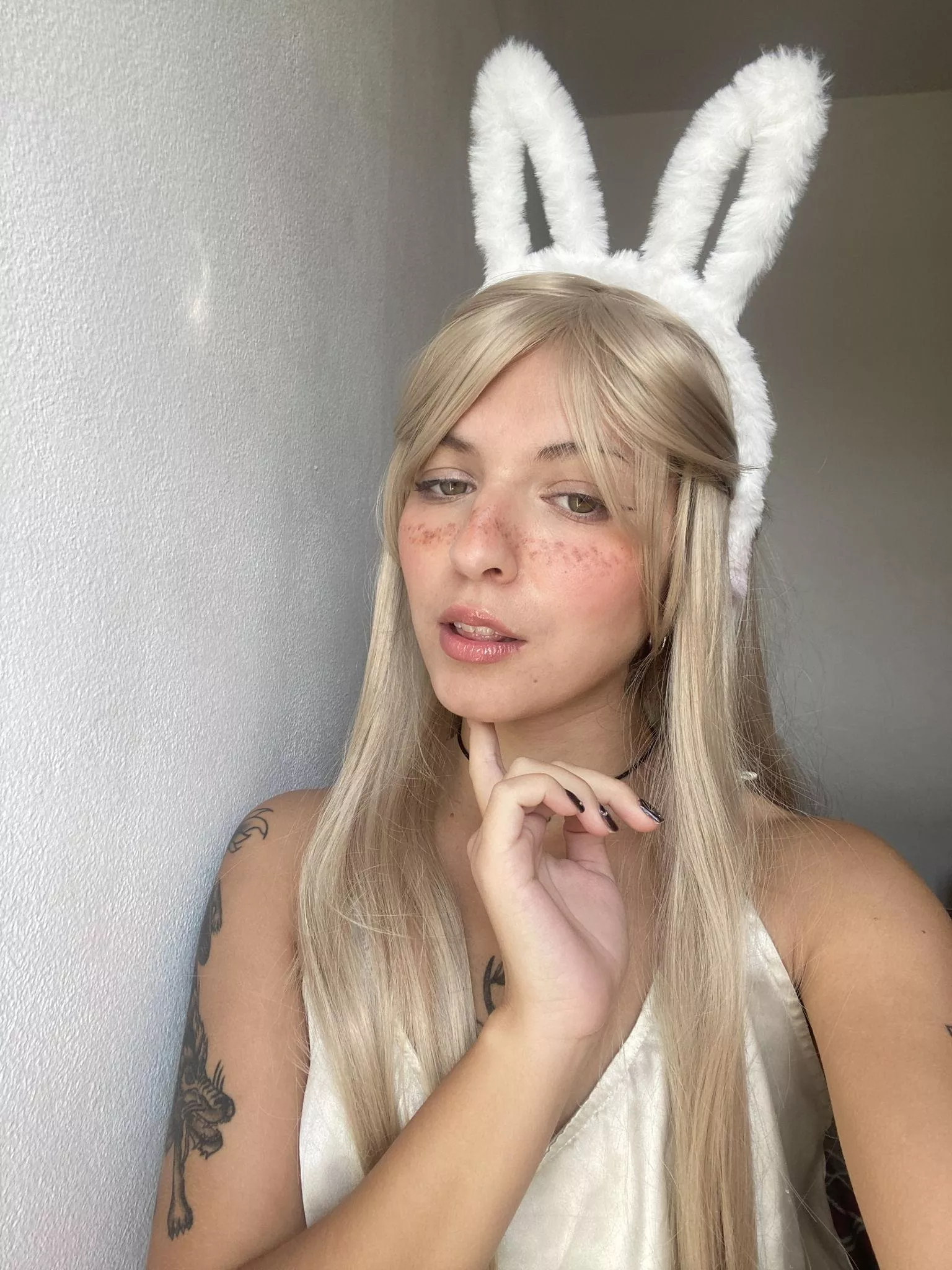 I am tame and timid bunny