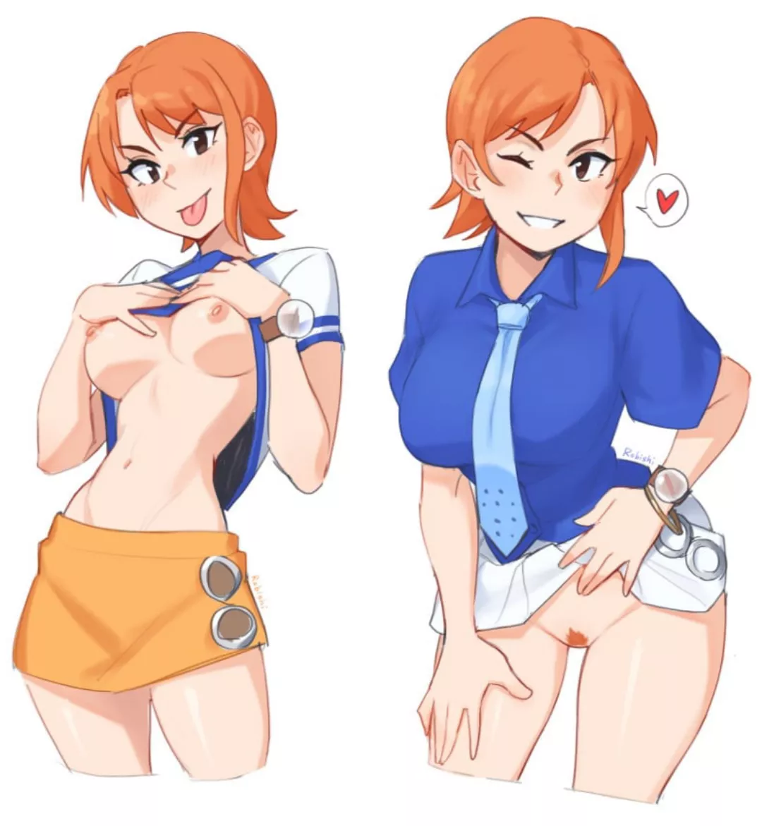 Nami (Robishi) [ONEPIECE]