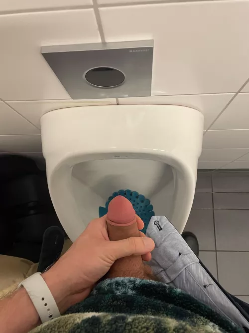 Airport Toilets are the best