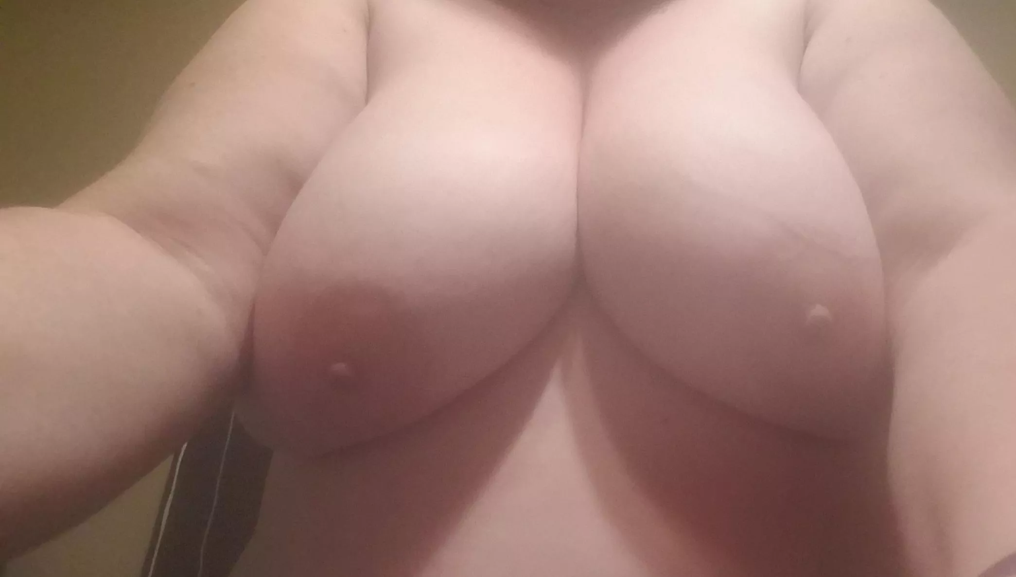Any ladies into bbws?