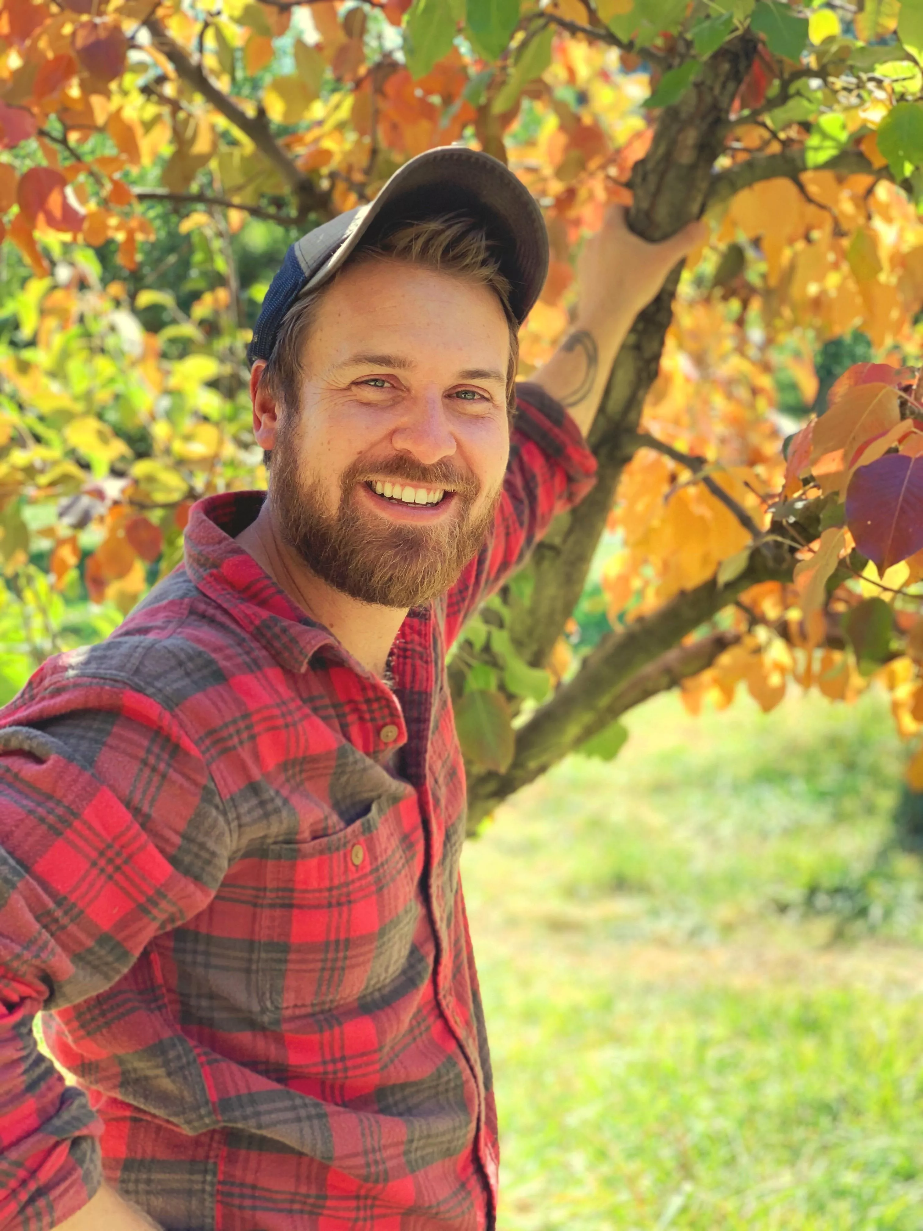 Apple harvest continues… 🍎🍏