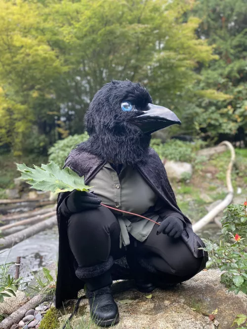 ~Big leaf! 🍃 Beautiful pond!~ (Photograph by my dearest, TheGalacticAngler)