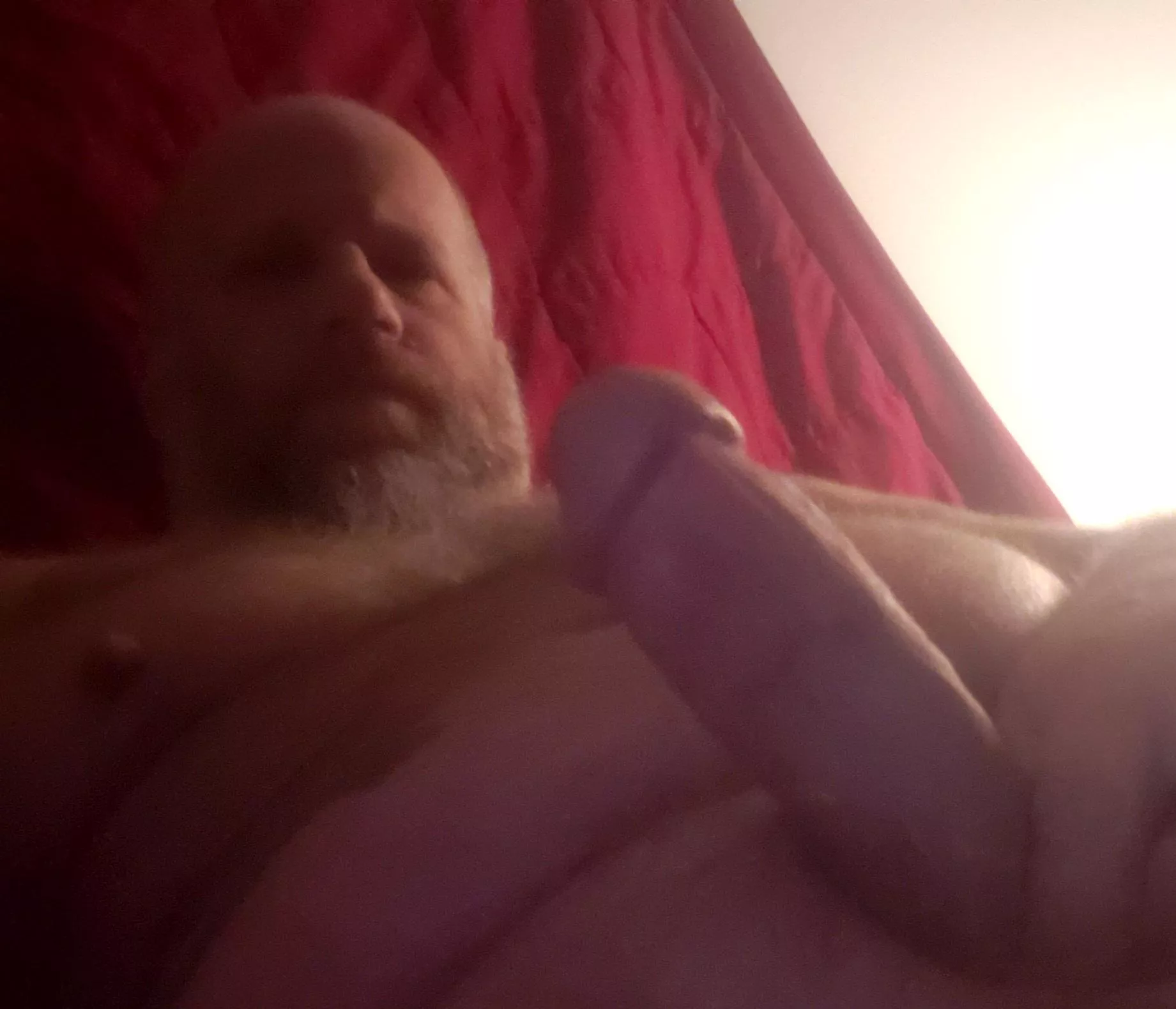 Gearing up for hibernation