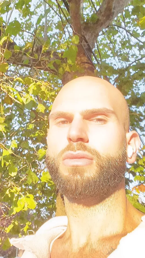 Just shaped up my beard on my own for first time, hows it look?