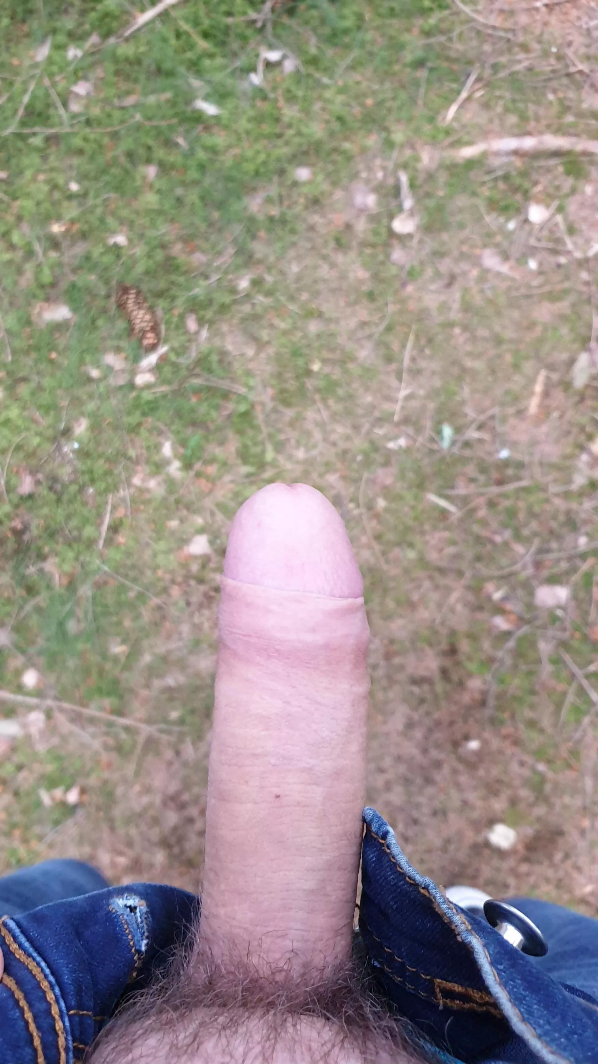 My cock out in the woods