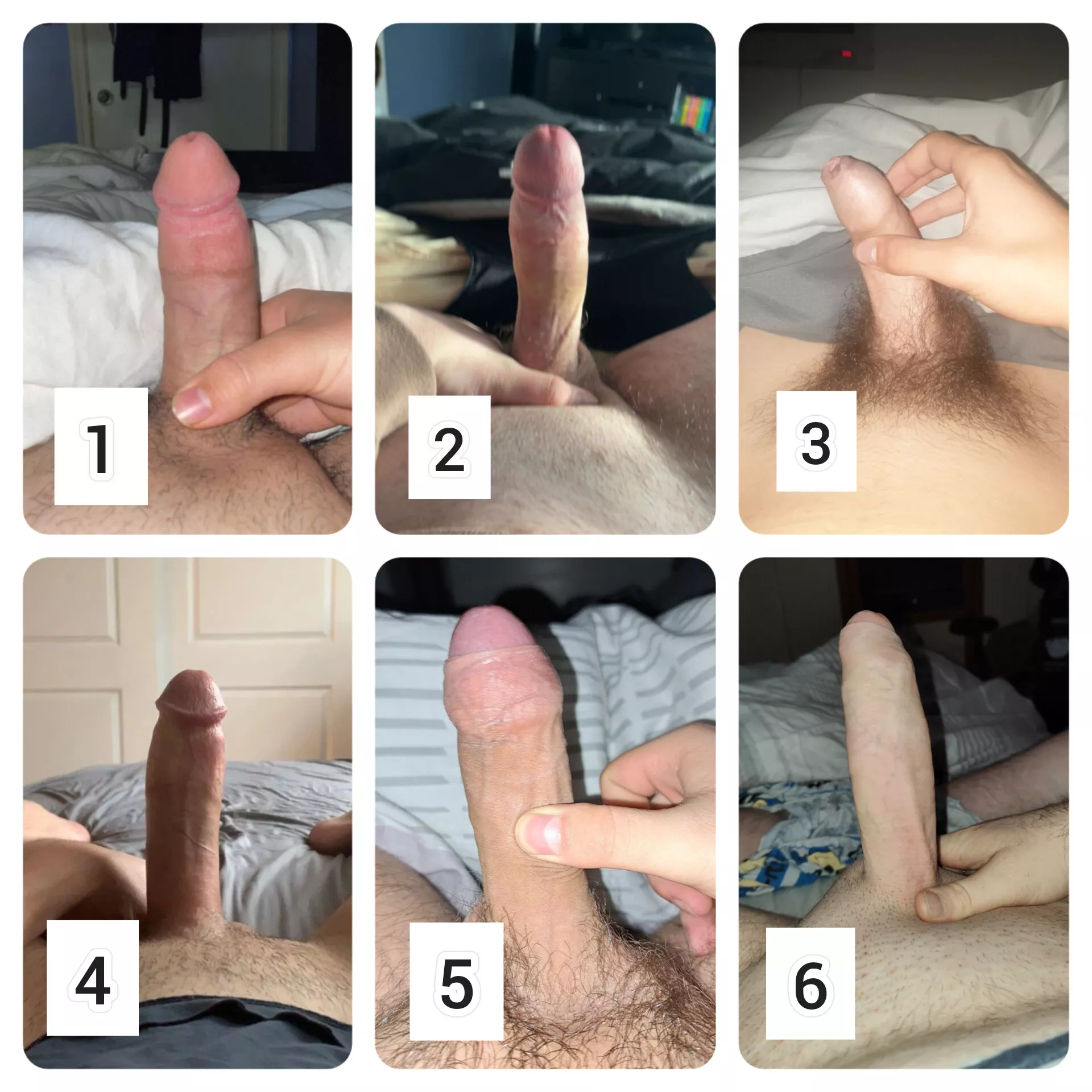 Rank these dicks from favorite to least please