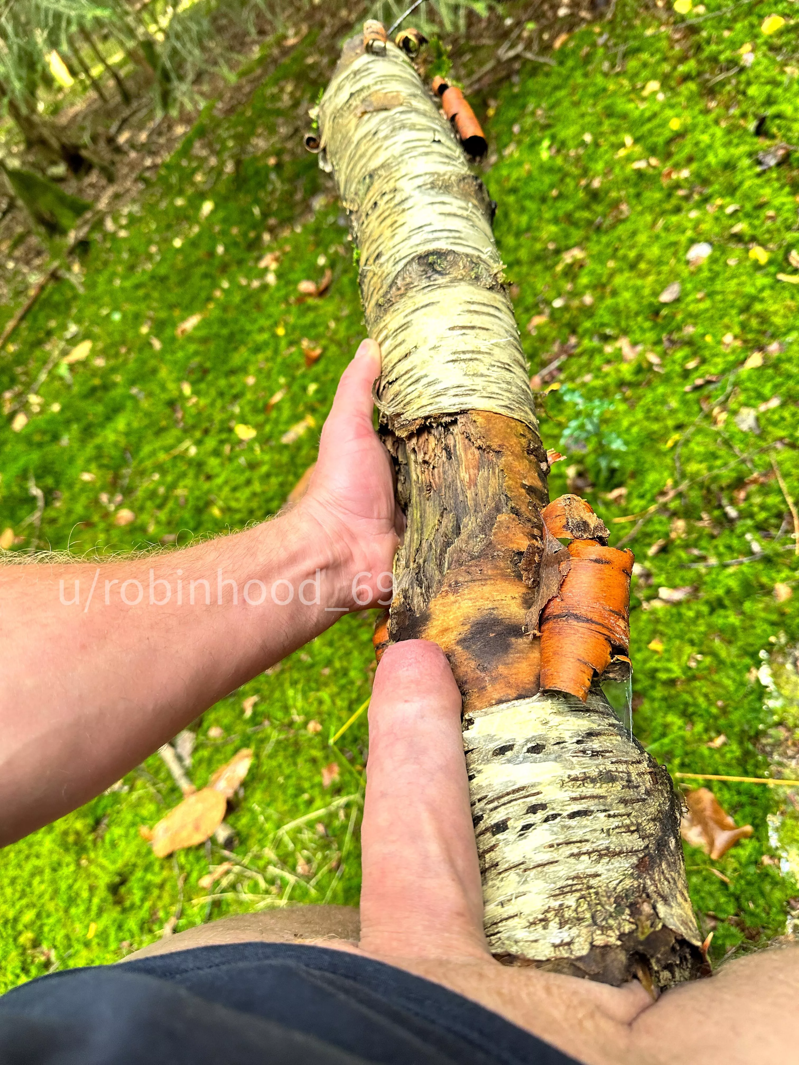 Spending time in the forest makes me feel connected with nature🌲