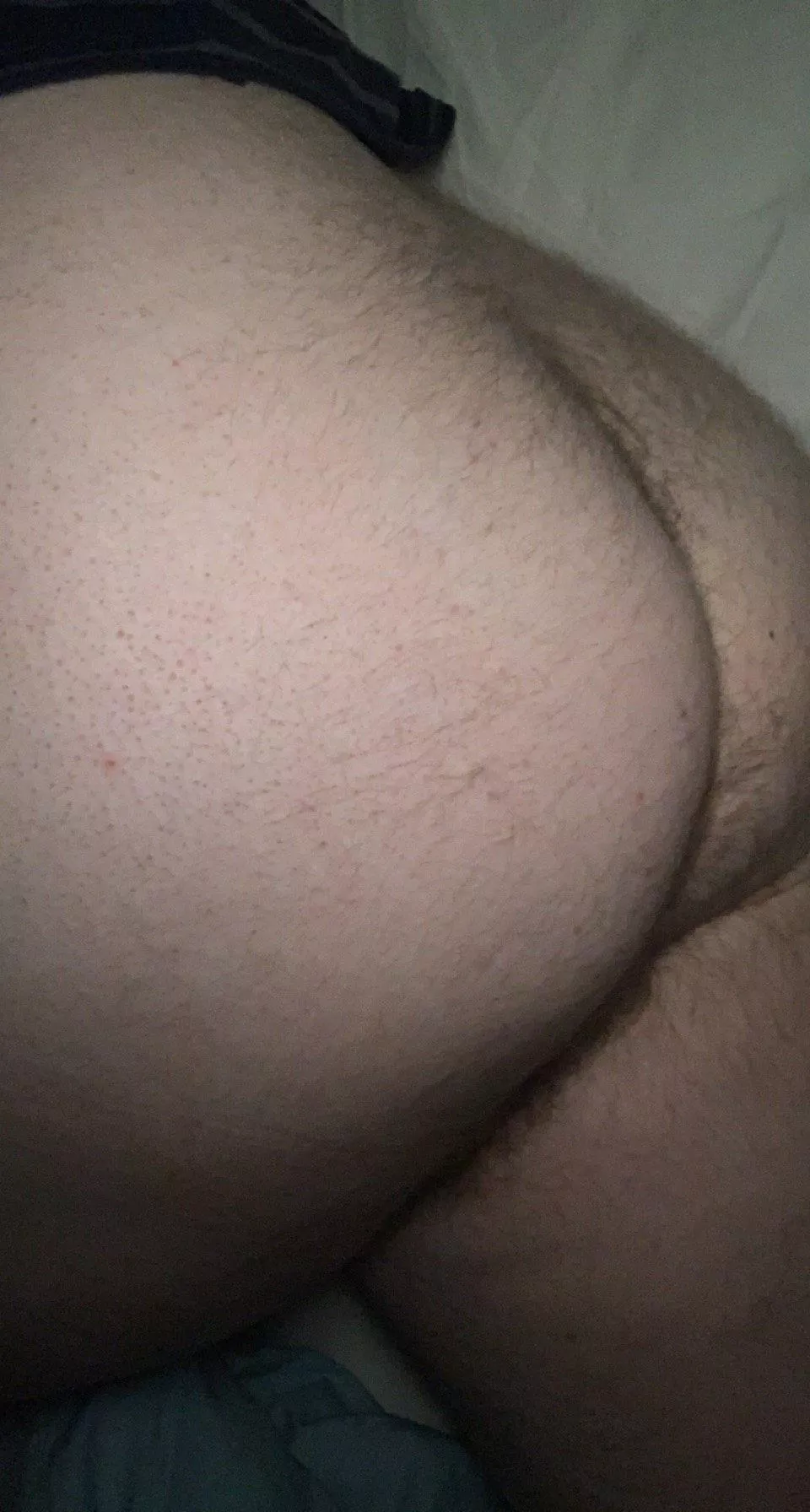 This otter needs pound please