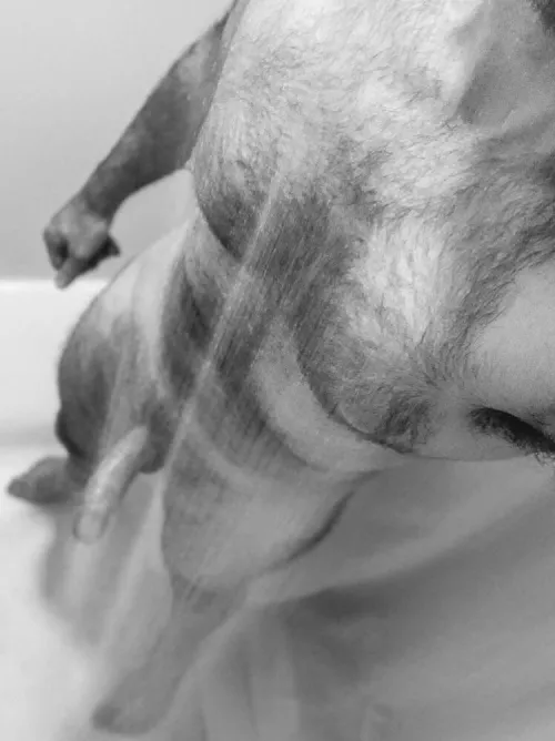 thought you might like more of me in the shower