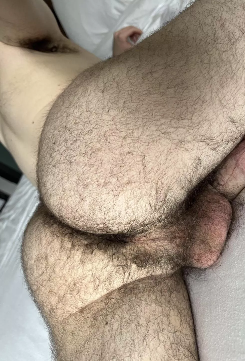 24 in shape DL Arab with a big furry bubble butt. 😏 Add my snapp: FurryB204