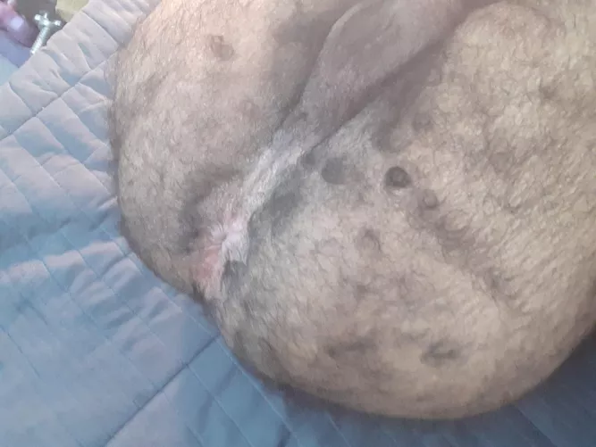 How many inches needs