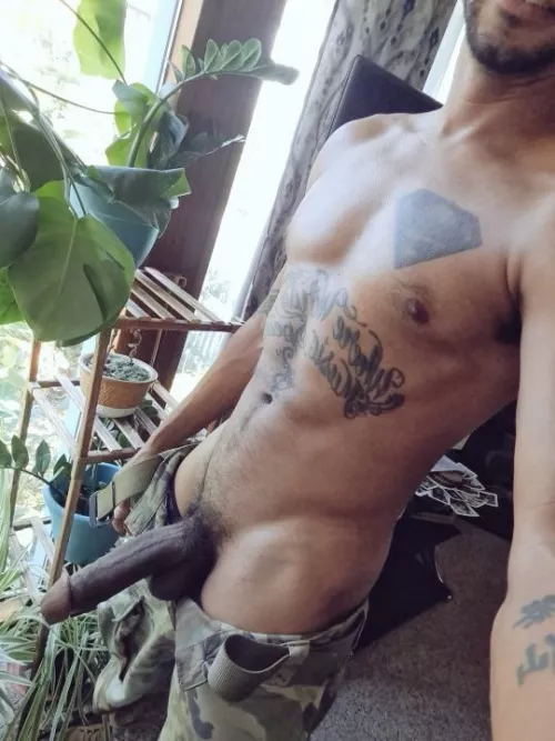 Just getting some light