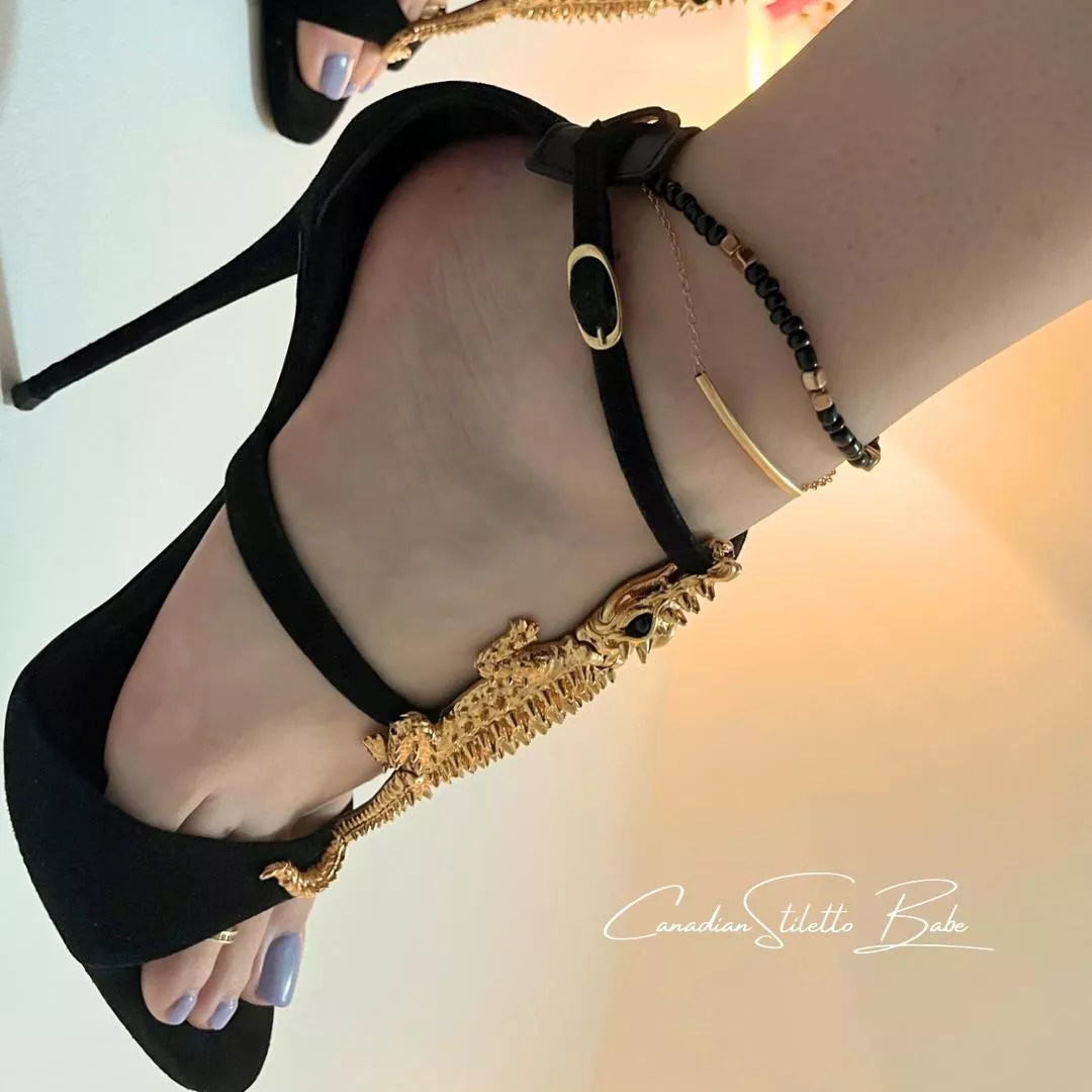 Season of the crocodile