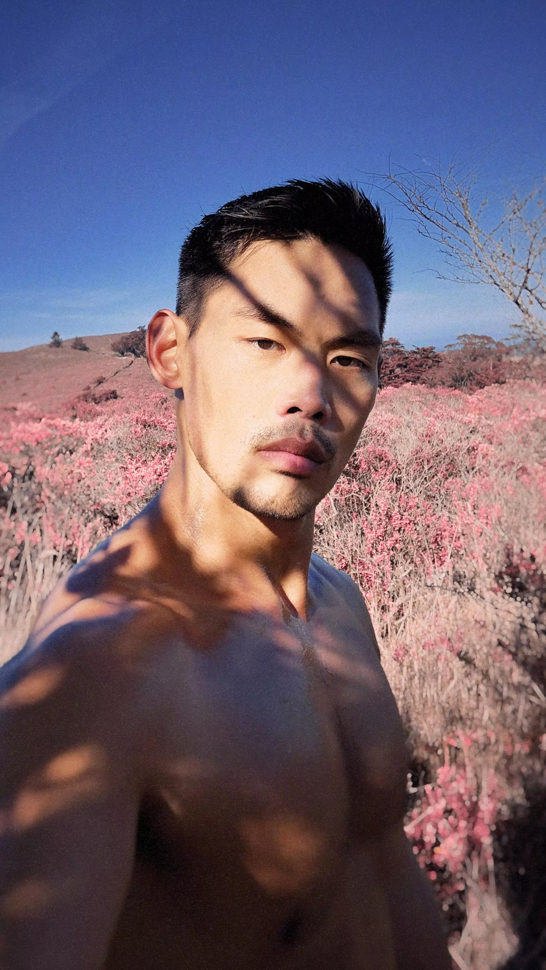 [self] went hiking