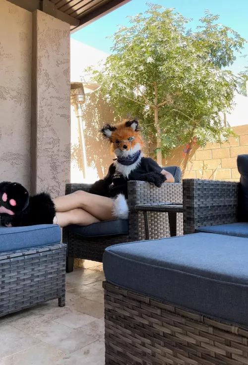 Welcome to the Fox Cave 🦊