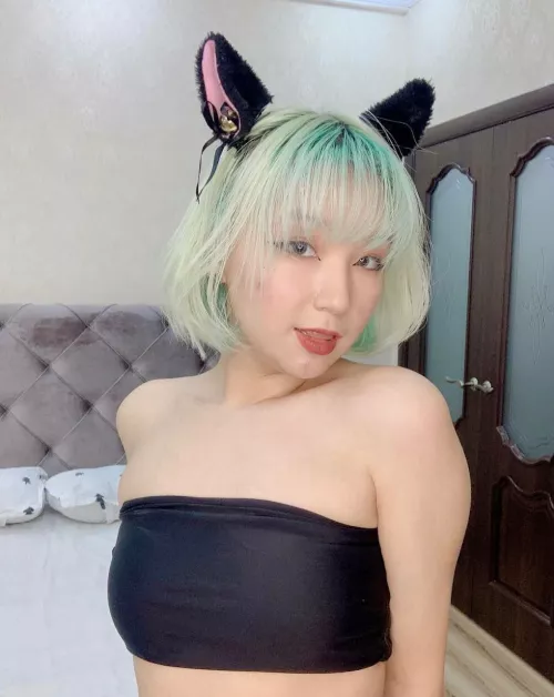 Do you want to tame an Asian cat?