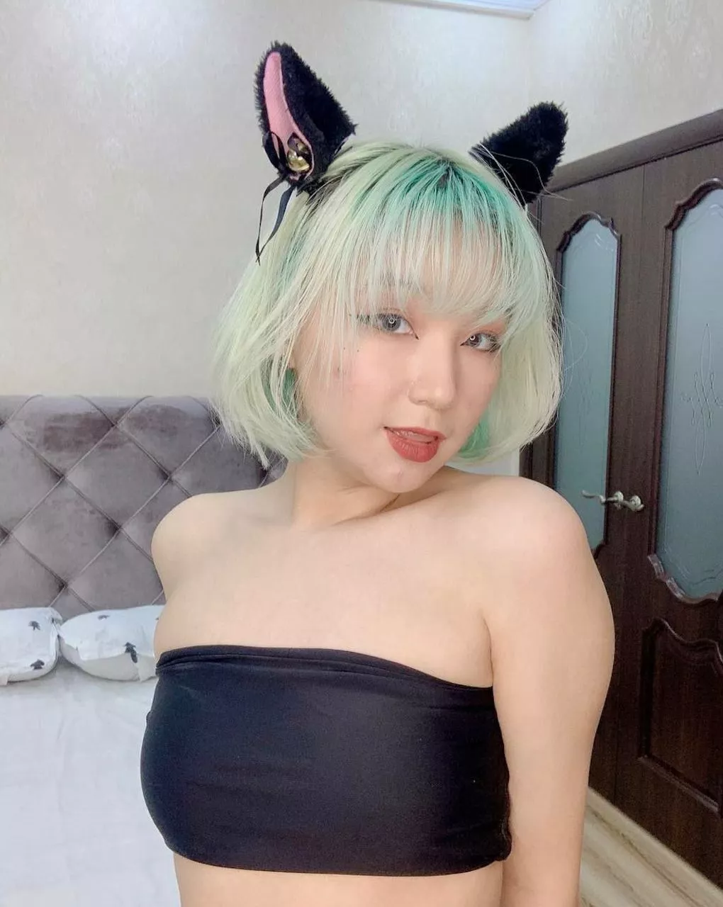 Do you want to tame an Asian cat?