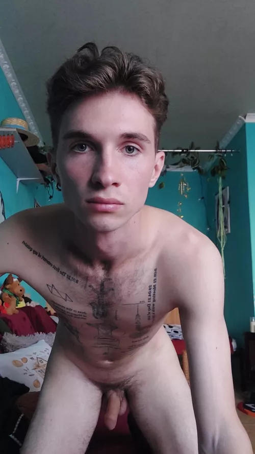 How are you going to celebrate Halloween?