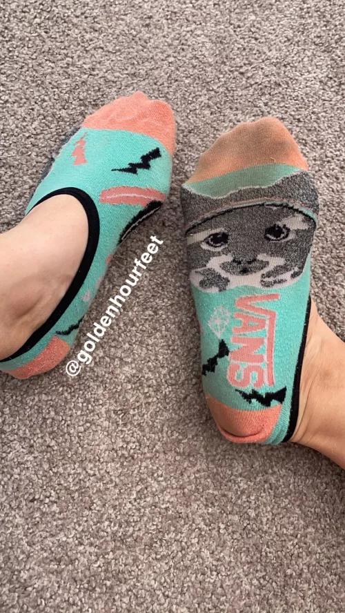 No show socks not featured in my drawer, but up for grabs if you wanna claim them💘