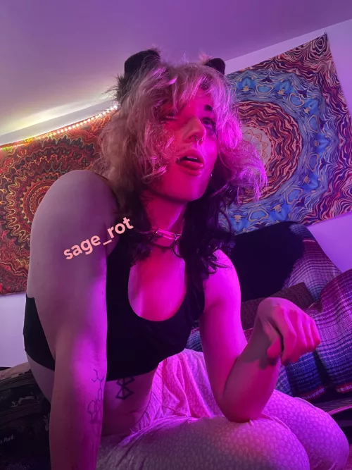 real puppy girl hours