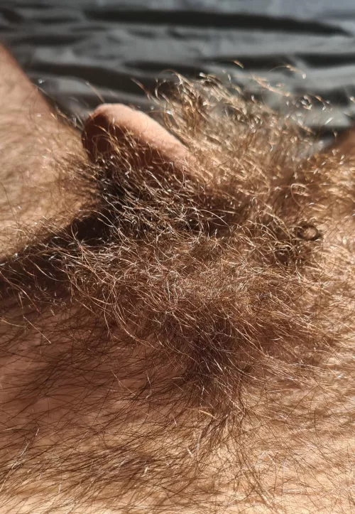 Almost lost in the forest