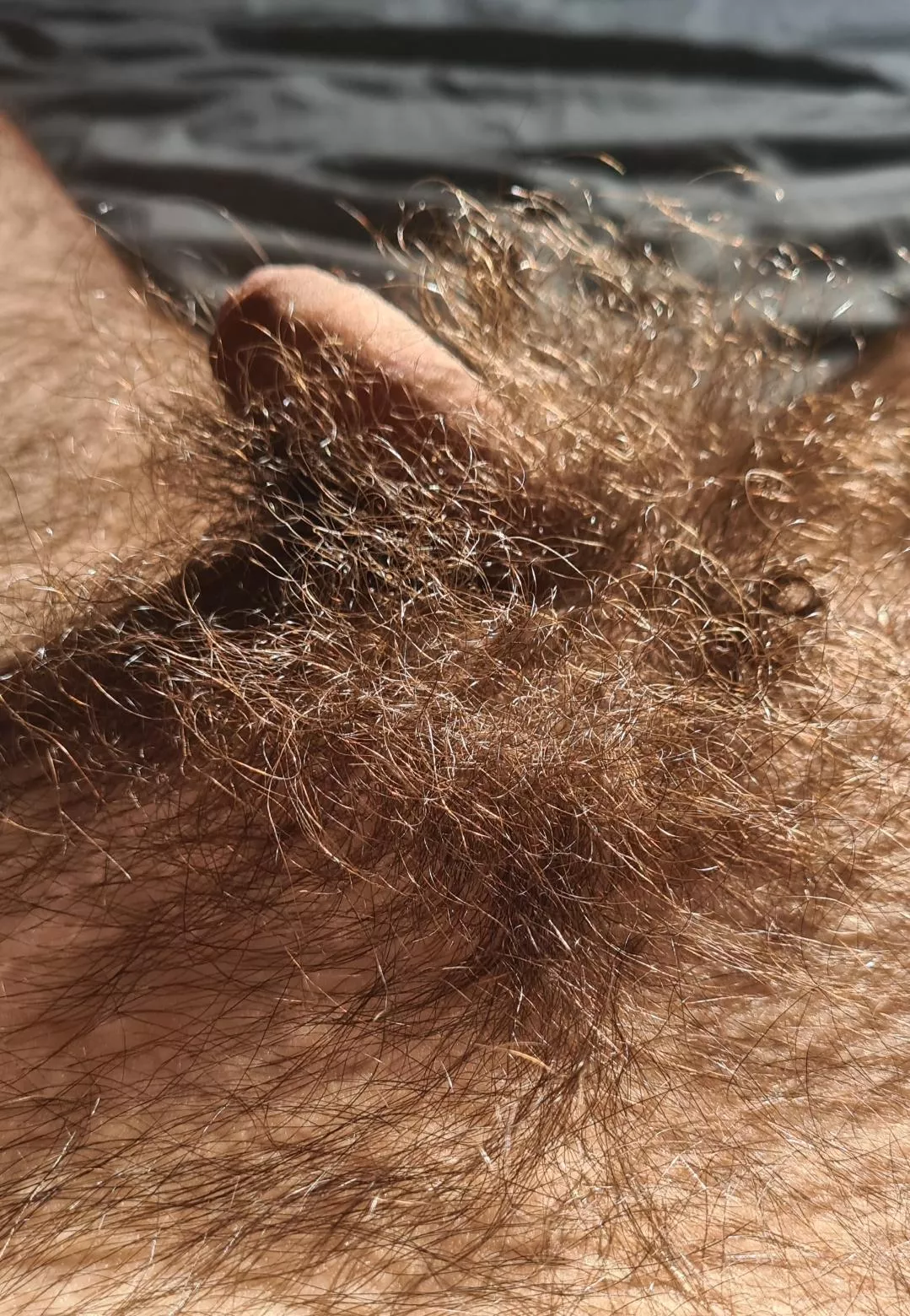 Almost lost in the forest