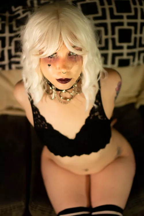 Just need a leash and I'm all yours