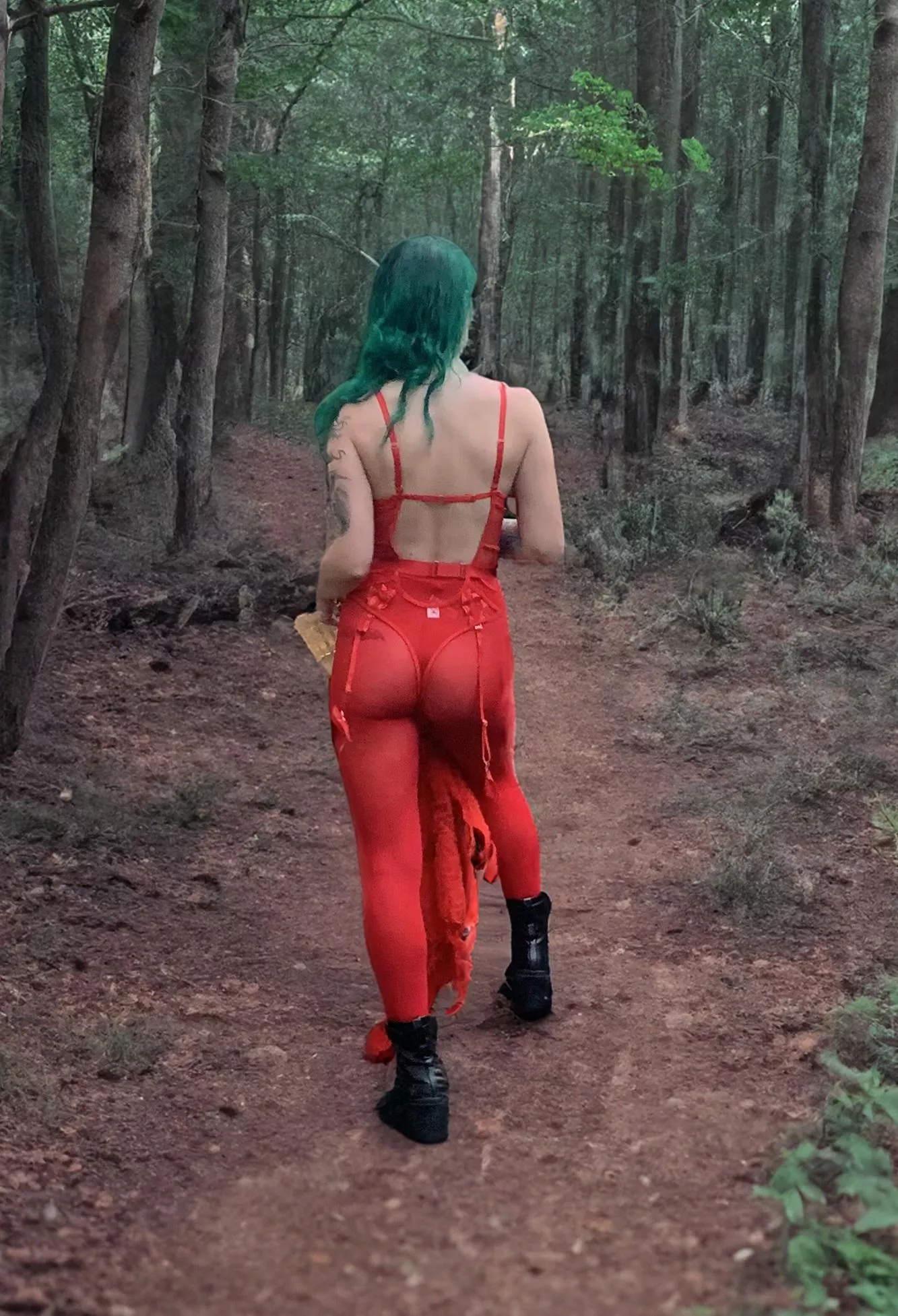 Little Red Riding Hood by Sirenskiss3