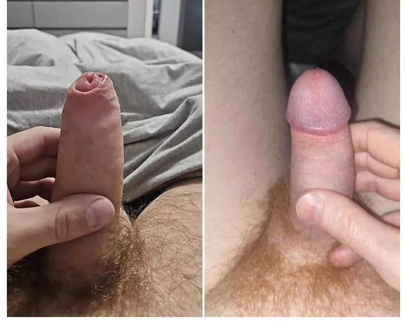 Vote which one is better, left or right please.