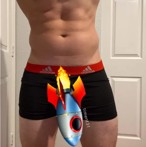 31 M Well hung fit bull visiting NYC next week and can host