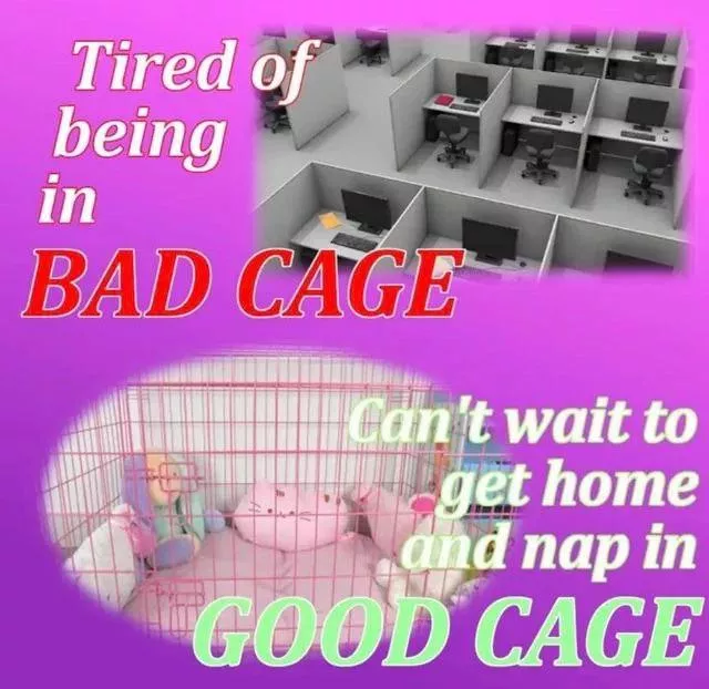 Anyone wanna provide? I promise I’ll be good