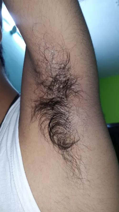 Can we worship eachother armpit?? If yes then DM me