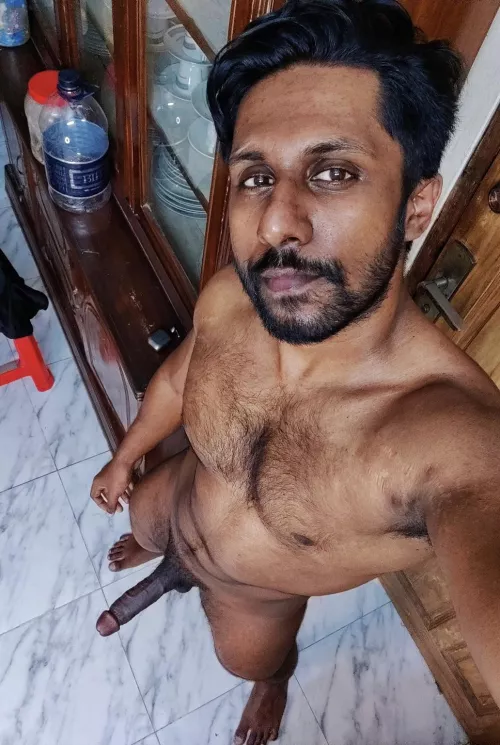 Chaser looking for a bottom bear