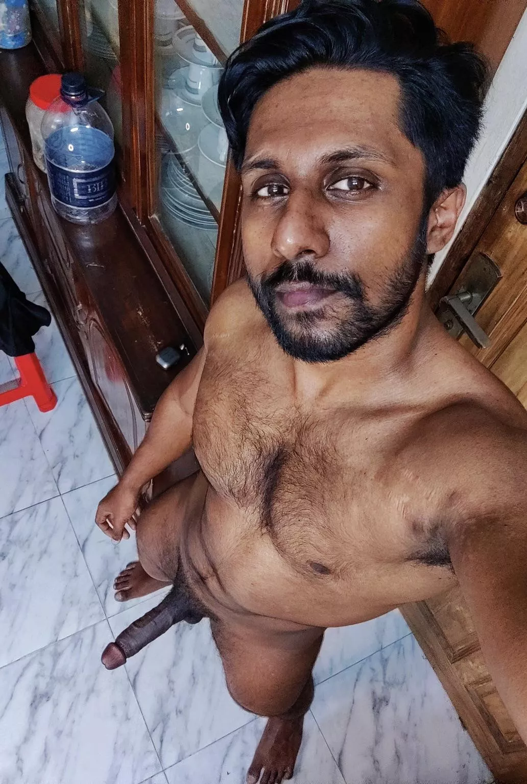 Chaser looking for a bottom bear