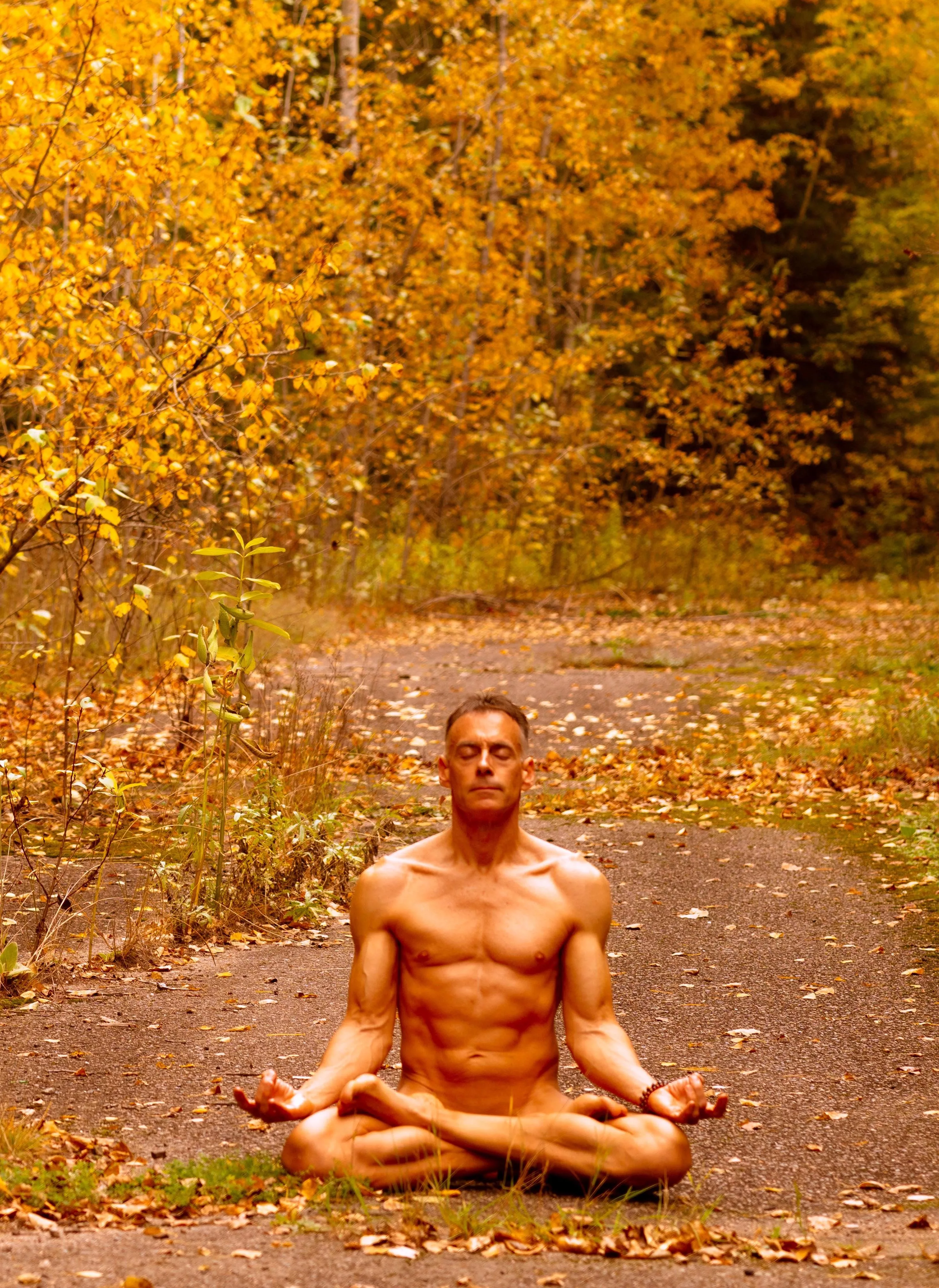 Fall meditation