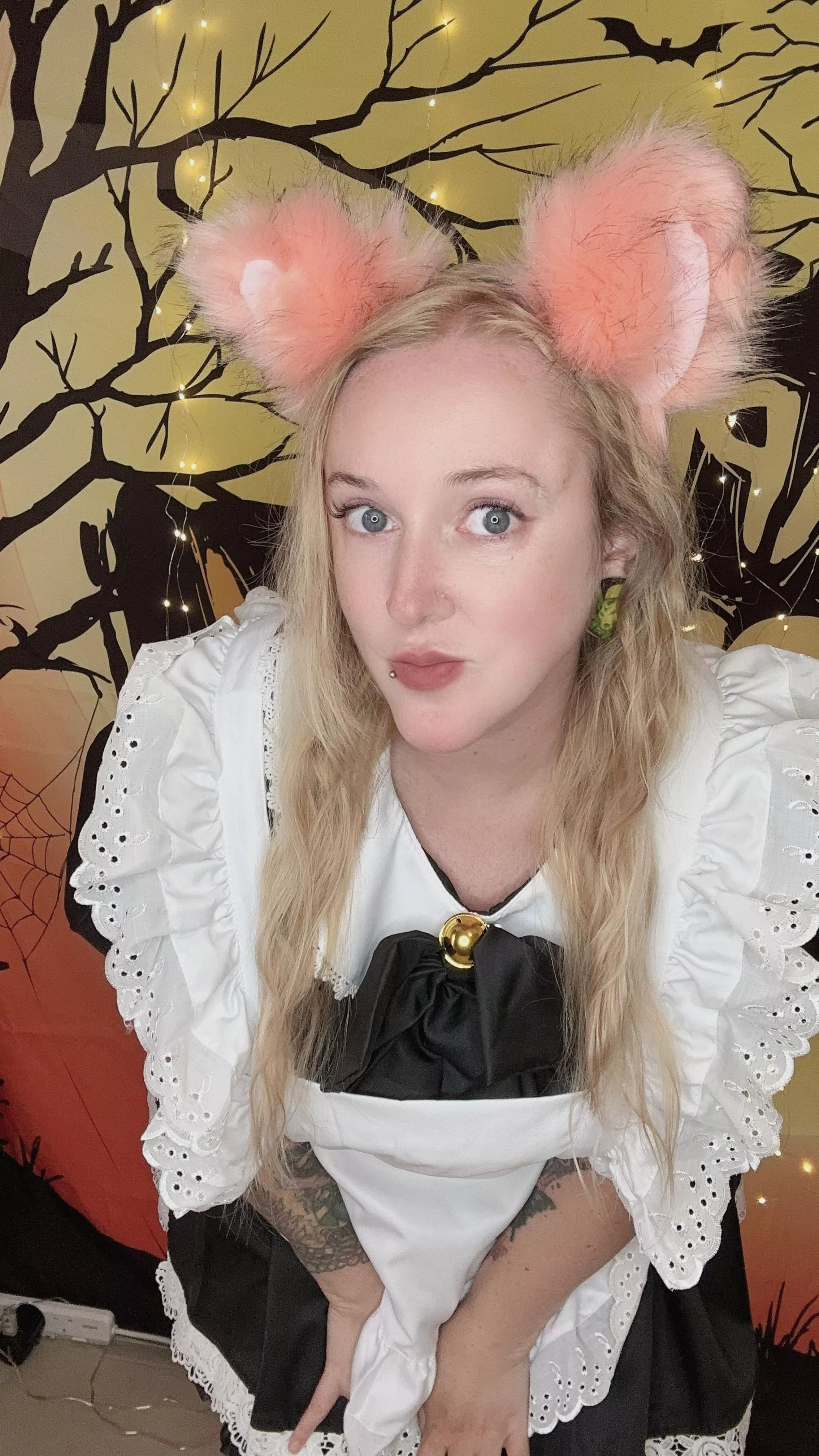 kitty maid ready to serve