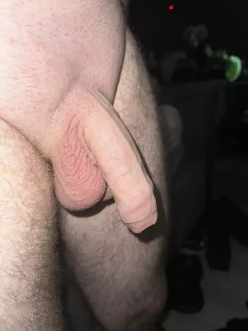 Pale Irish softie. DMs open