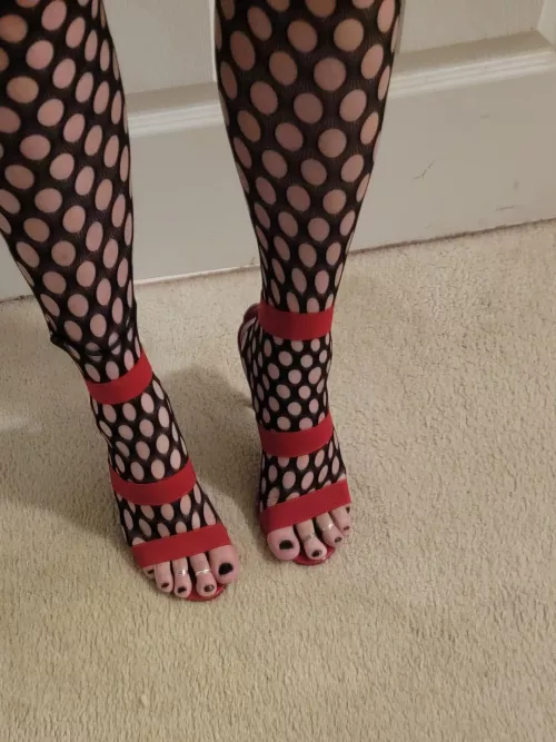 Suck or fuck my feet?