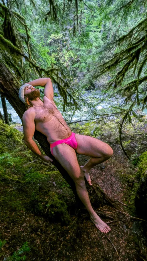 Would you come on a forest adventure with me?